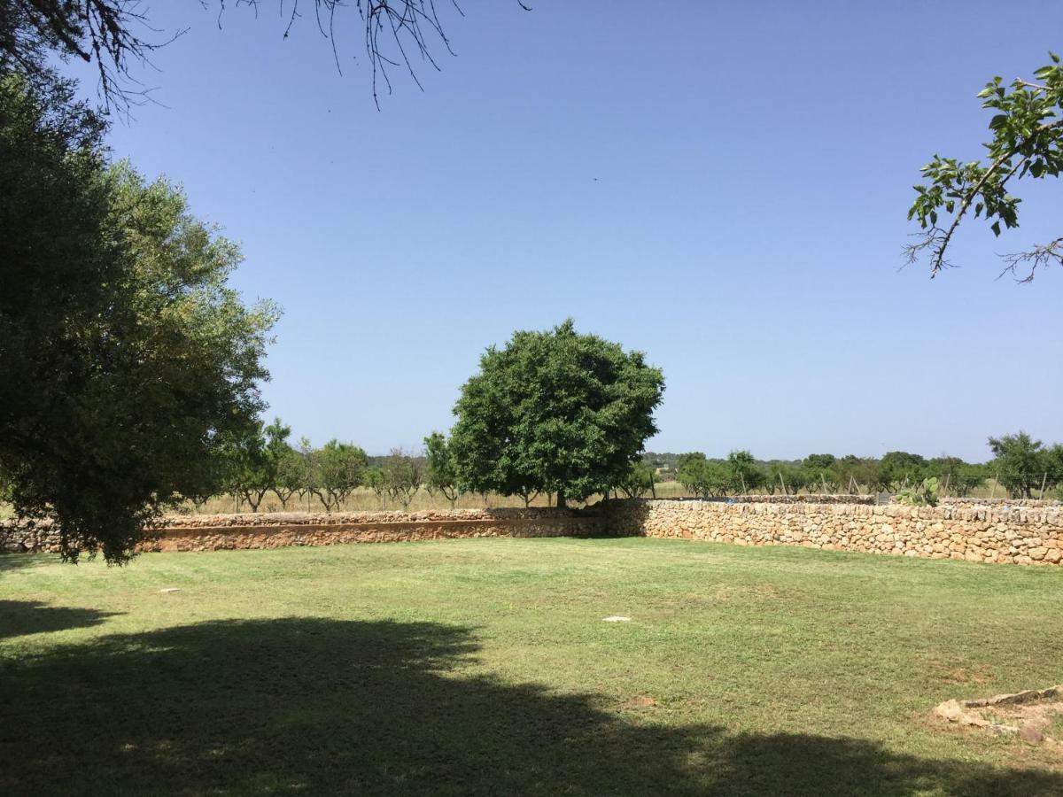 Ferienhaus Ses Cases D'alaiar *